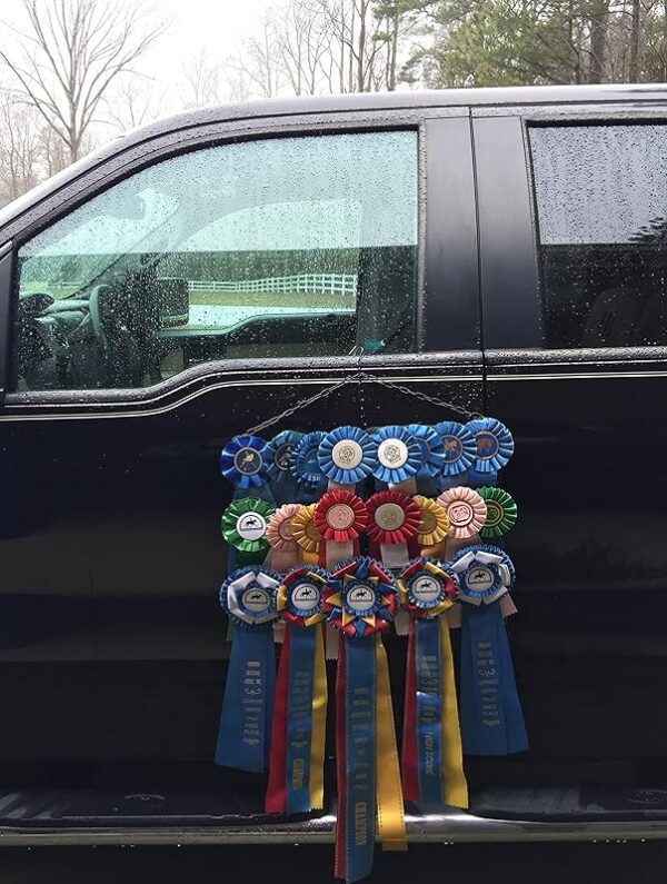Go Anywhere Ribbon Display - Image 4