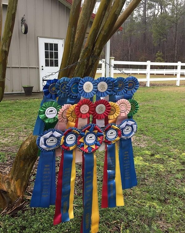 Go Anywhere Ribbon Display - Image 3